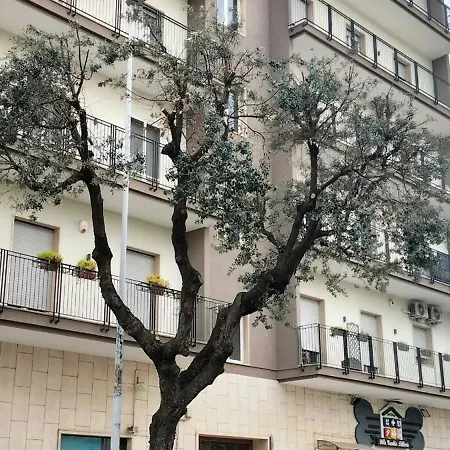 La Casa Di Emira *